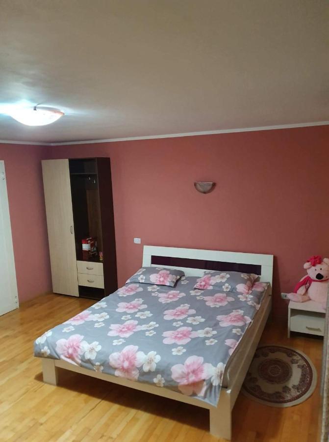 Vila Aslam Hotell Gura Humorului Exteriör bild