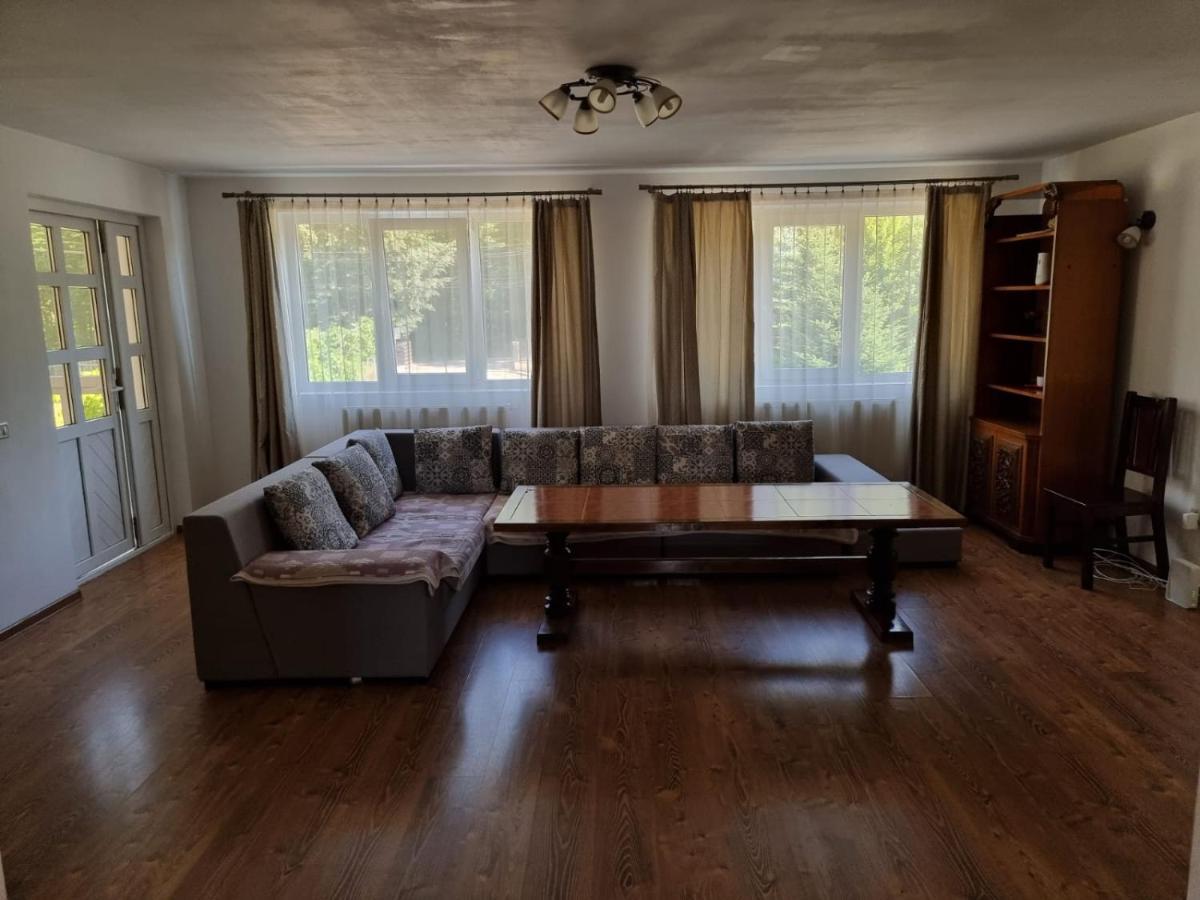Vila Aslam Hotell Gura Humorului Exteriör bild